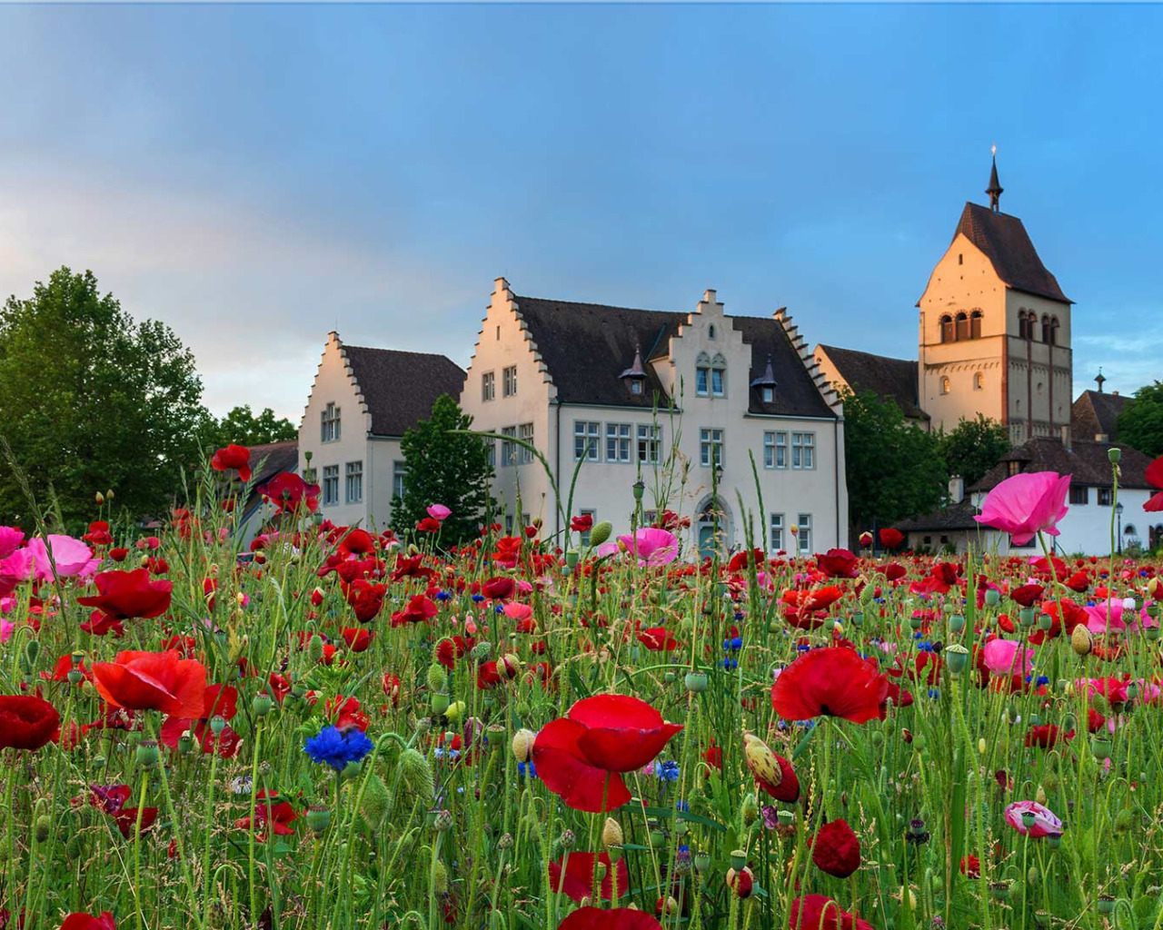 Названия германии в разное время. Церковь Боденское озеро. Германия летом. Красивая Германия. Луга Германии.