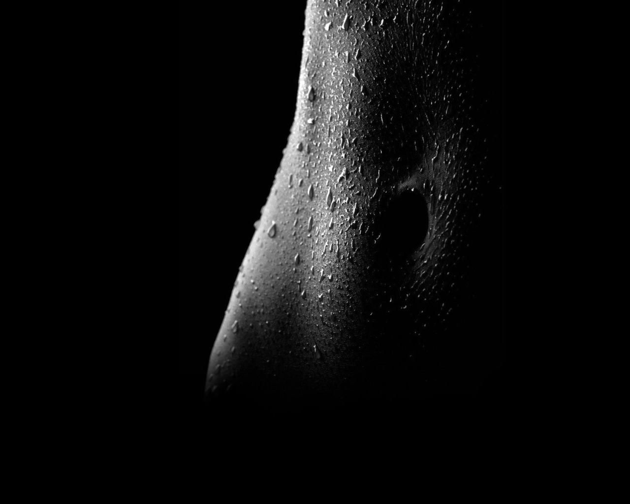 черно белые картинки женской груди фото 106