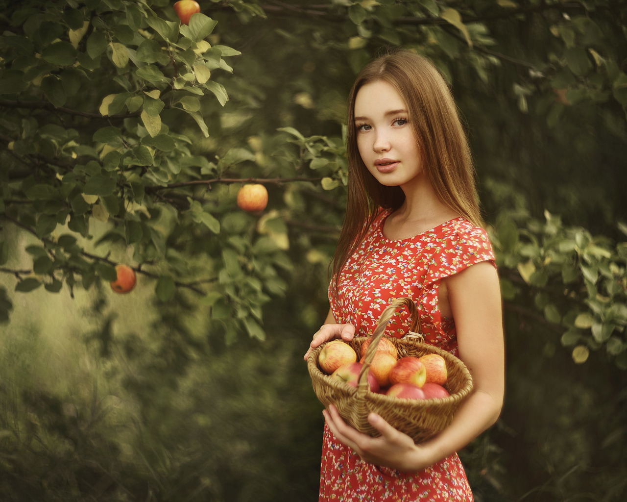 Оплетаи. Фотосессия в лесу с яблоками. Девочка с яблоками. Фотосессия в яблоневом саду с яблоками. Девушка с корзиной яблок.