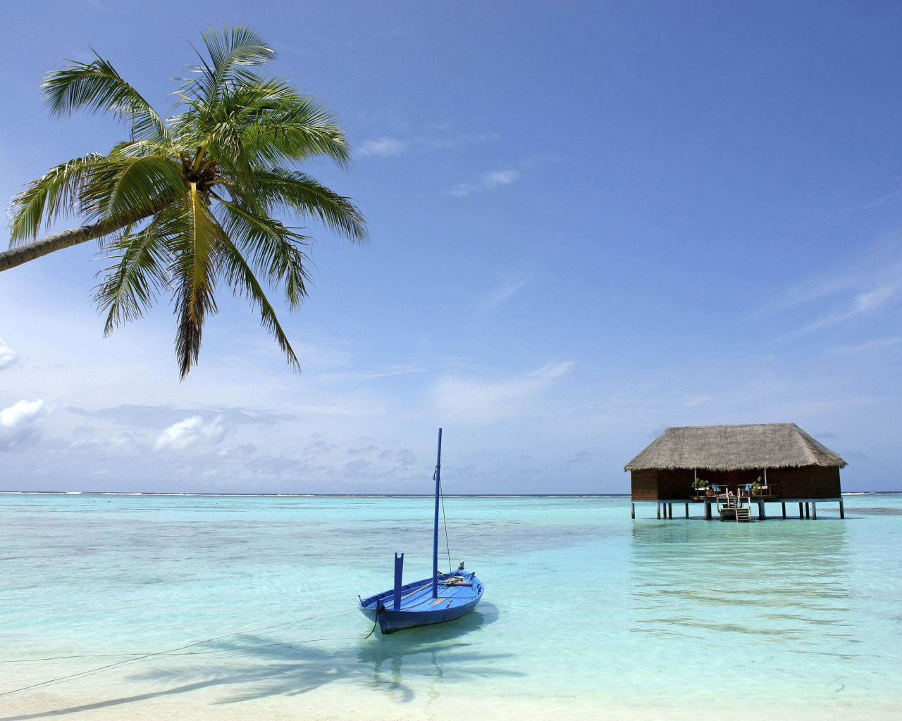 Шри ланка туры март. Райский остров. Остров Шри Ланка. Остров Шри Ланка фото. Океан и лодка Мальдивы.