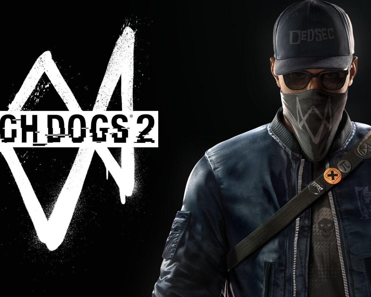 The watch dogs steam фото 119
