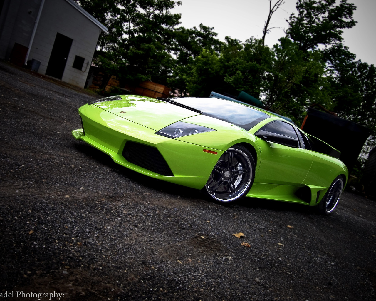 Скачать обои green, lamborghini, диски, ламборджини, murcielago, 360  forged, салатовая, майами, раздел lamborghini в разрешении 1280x1024