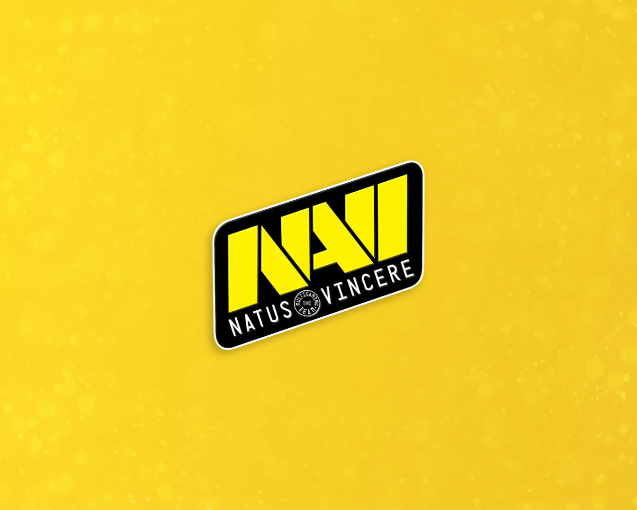 Navi логотип для стим фото 80