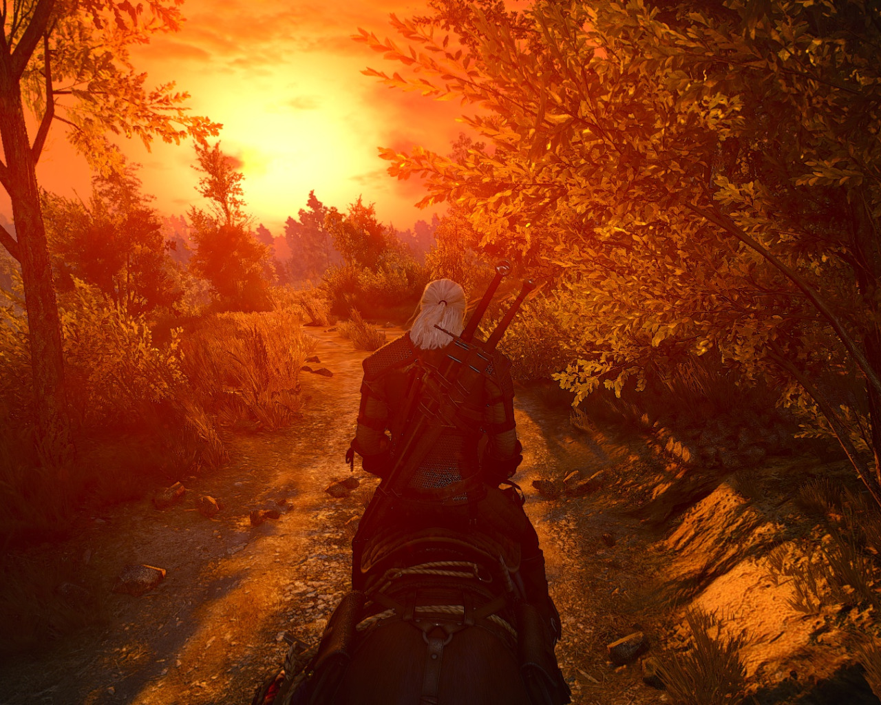 The witcher на андроид. Ведьмак 3. Ведьмак закат. Witcher 3 закат. Ведьмак закат арт.