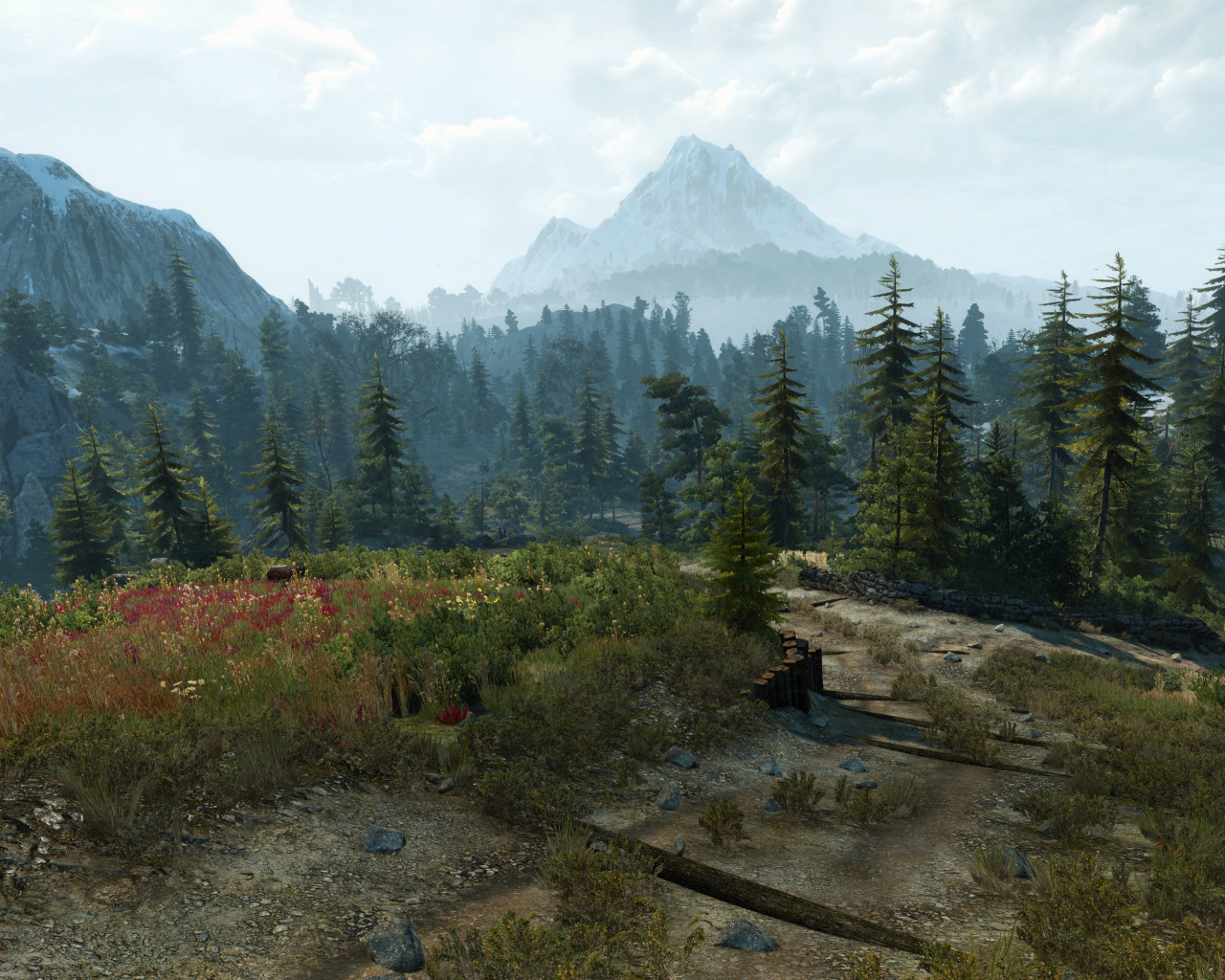 Witcher 3 the fields of ard skellig скачать фото 70