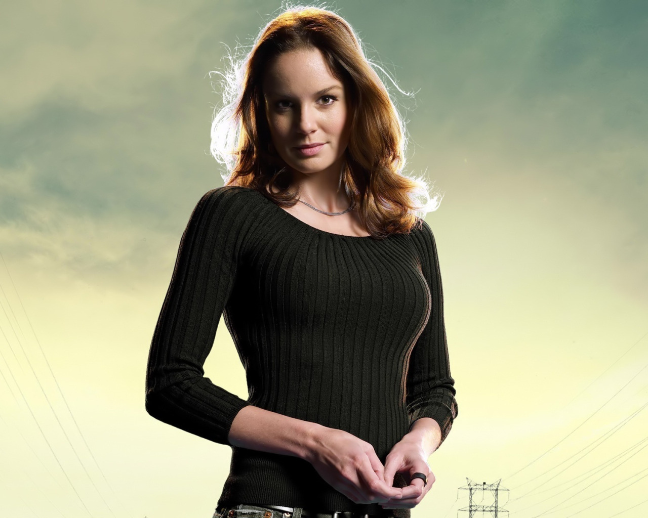 Sarah Wayne Callies