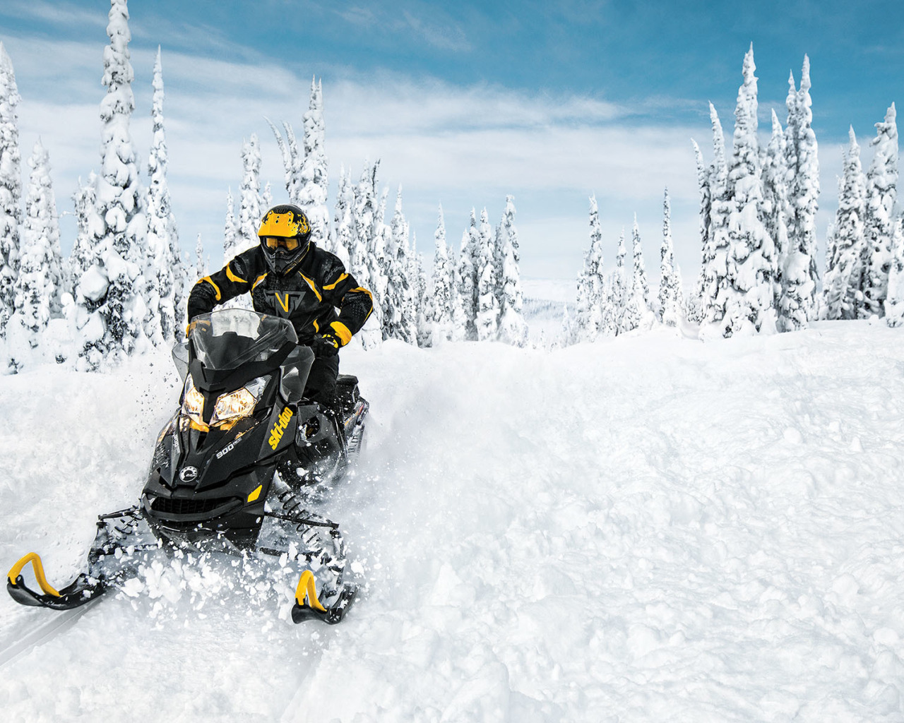 Снегоход БРП горный 2022. BRP Freeride 2022. Сноумобиль Ski Doo. BRP снегоходы 2023.