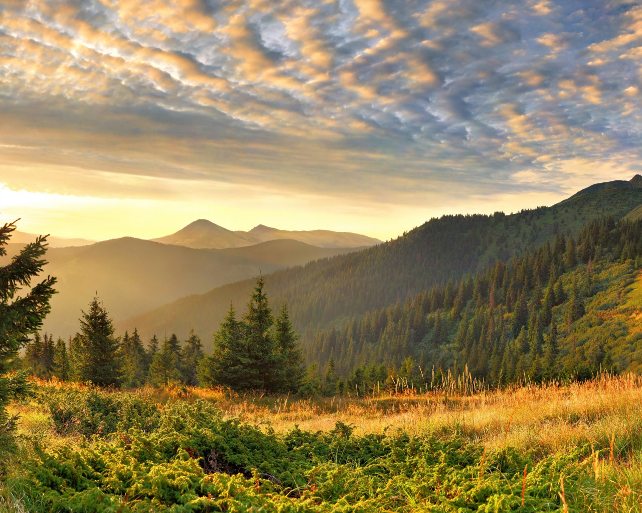 Горы Карпаты панорама