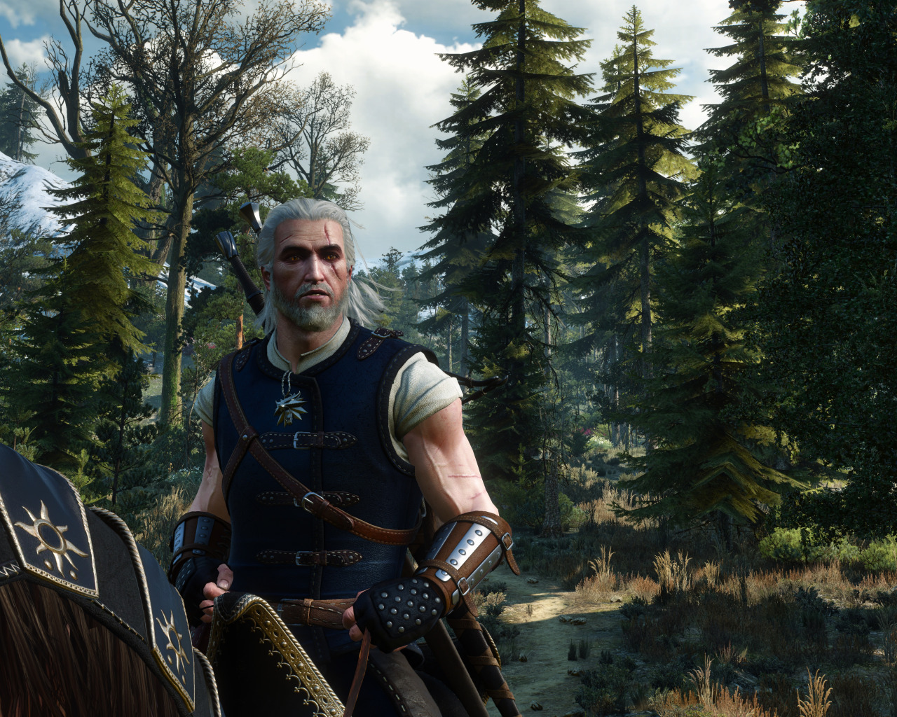 The witcher 3 geralt horse фото 85