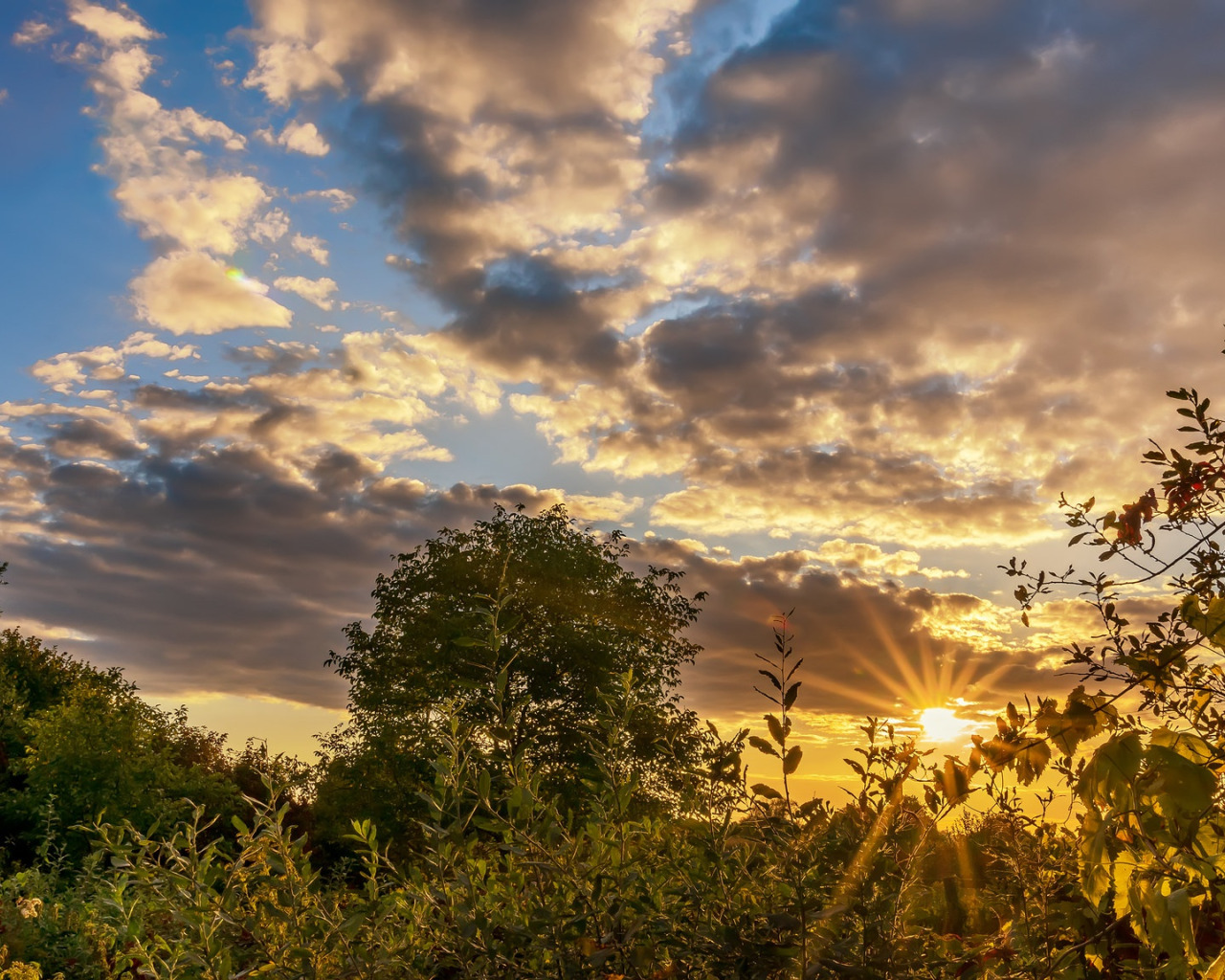 закат, Франция, Lauterburg