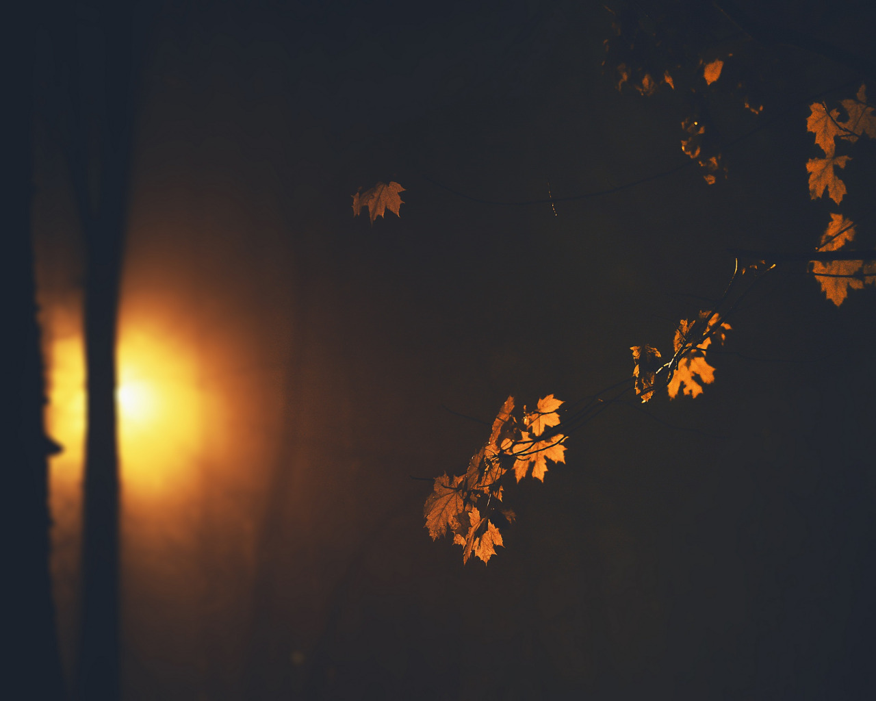 Ночью по листьям стучал беспрерывно. Осенняя ночь. Осенние листья ночью. Осенний вечер Эстетика.