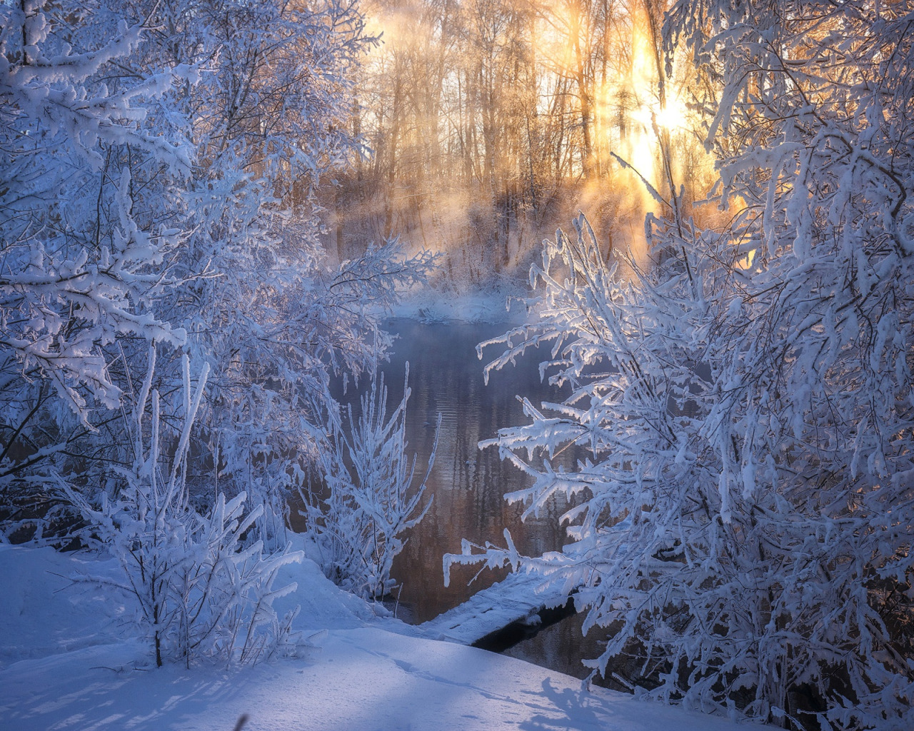 Зимняя сказка. Красивый зимний лес. Утро в зимнем лесу. Сказочный зимний лес.