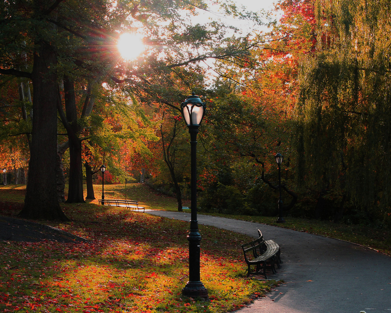 парк и фонарь