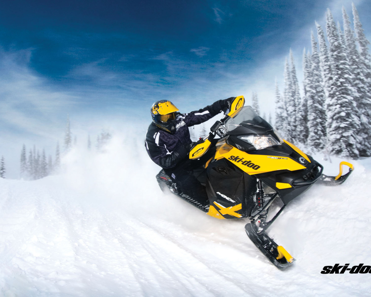 Снегоход BRP Ski-Doo