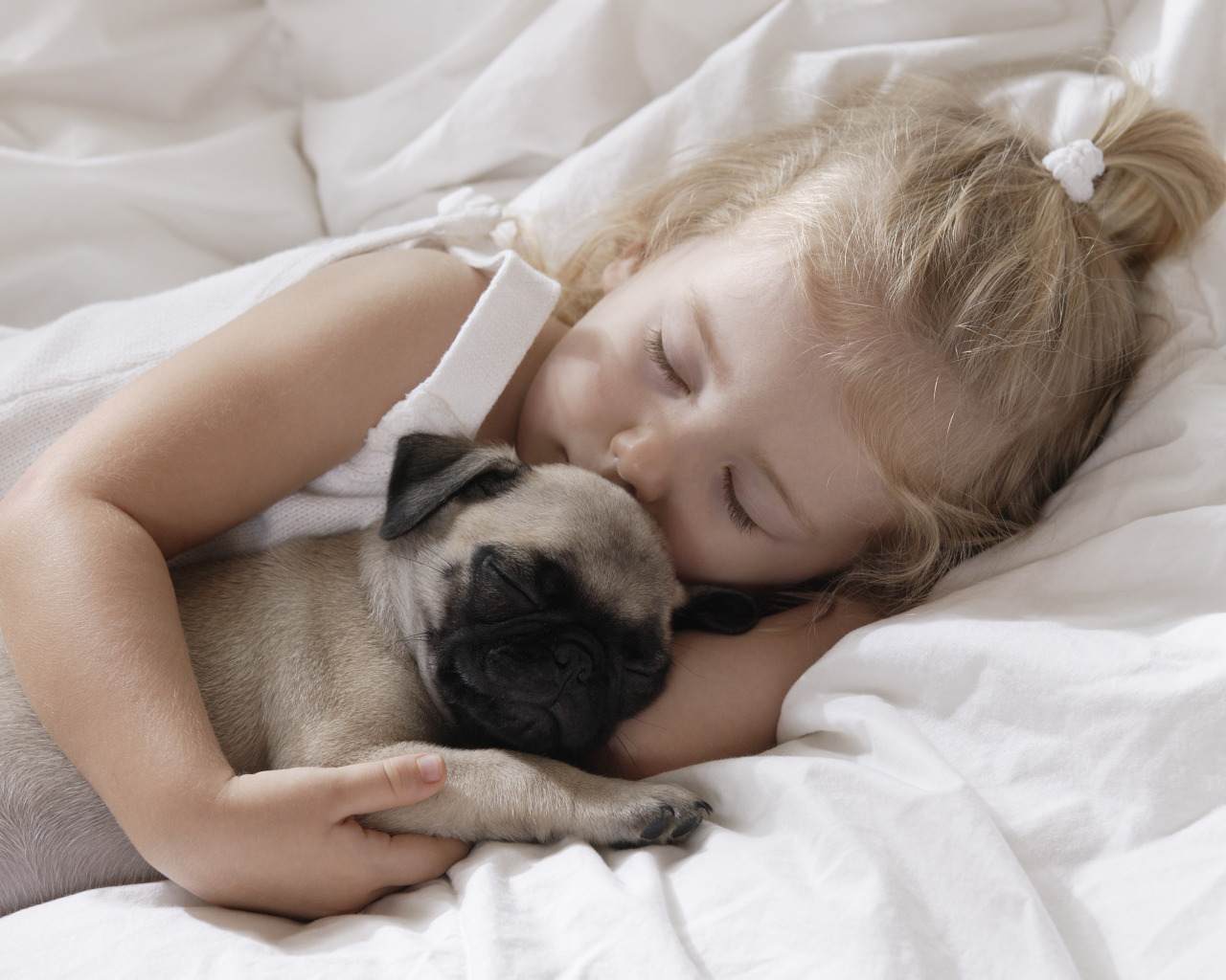 Спят спокойно дети. Для детей. Животные. Спящие собачки. Милые спящие животные.