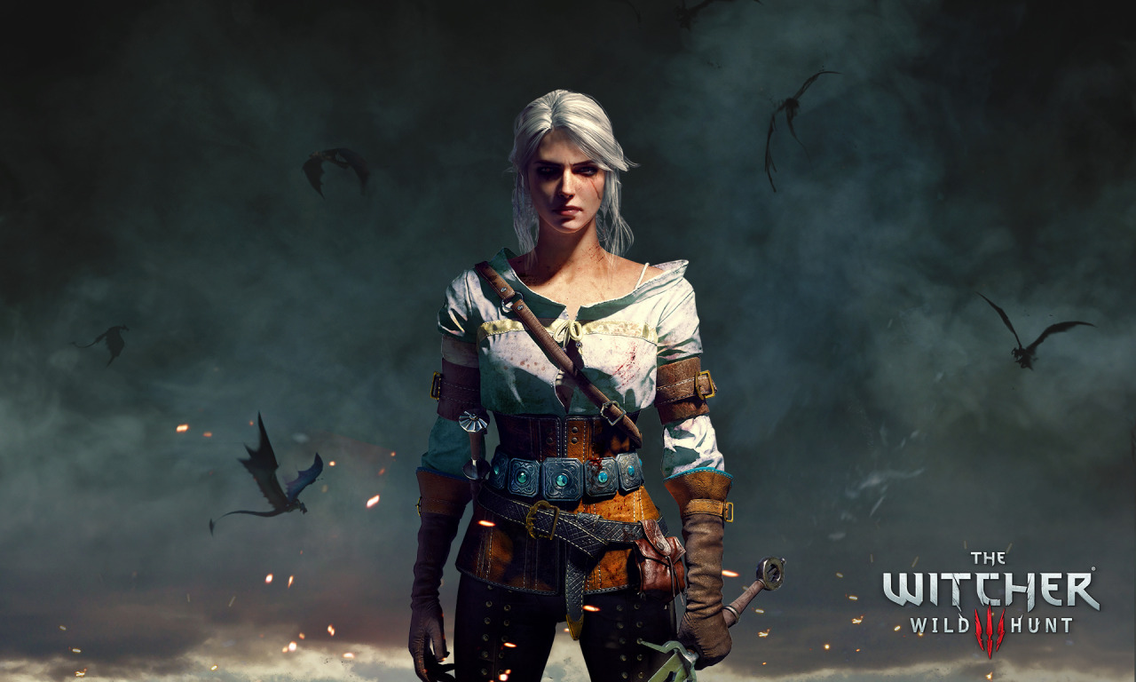 The witcher 3 all witcher gear locations фото 13