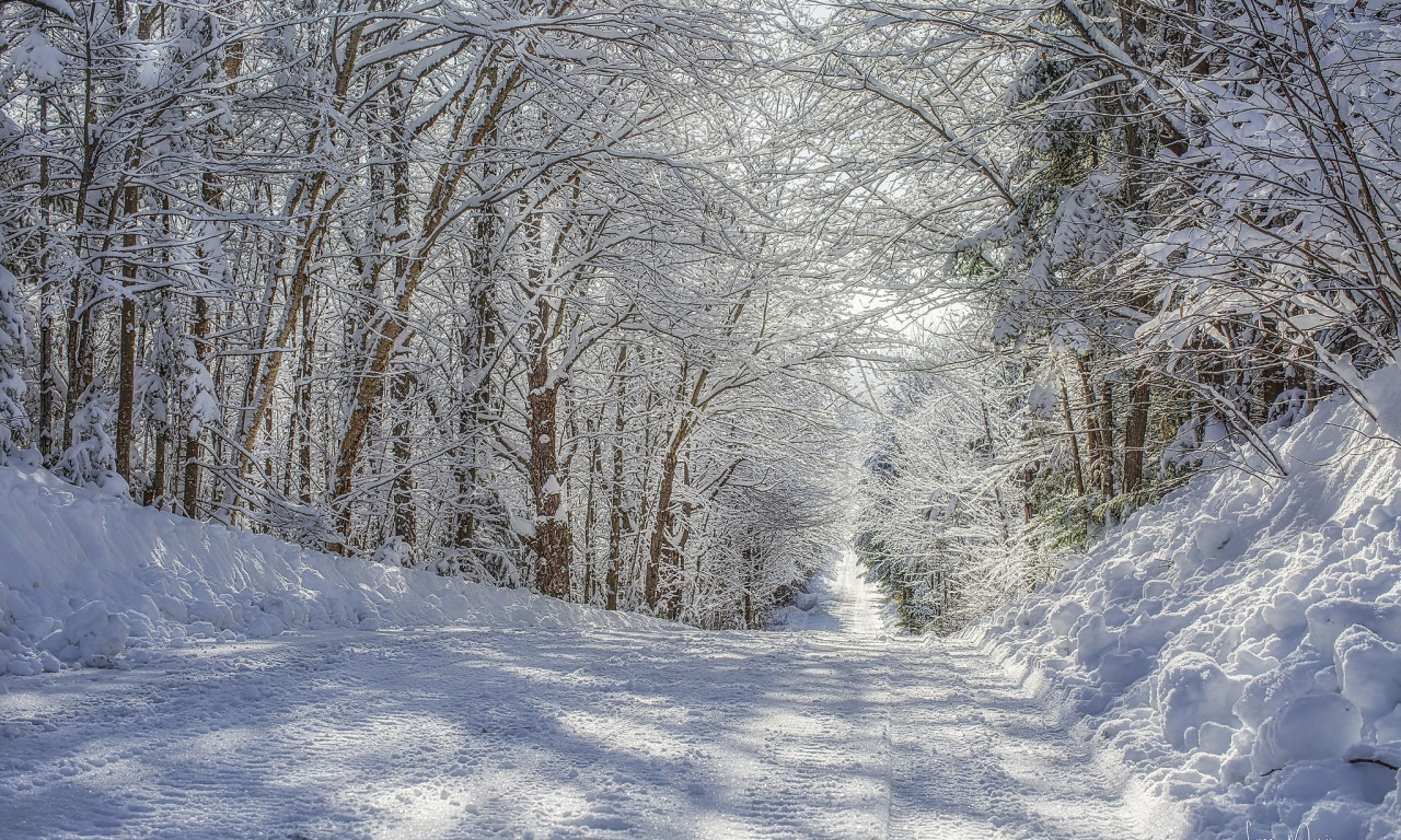 зима, дорога, снег, деревья, день