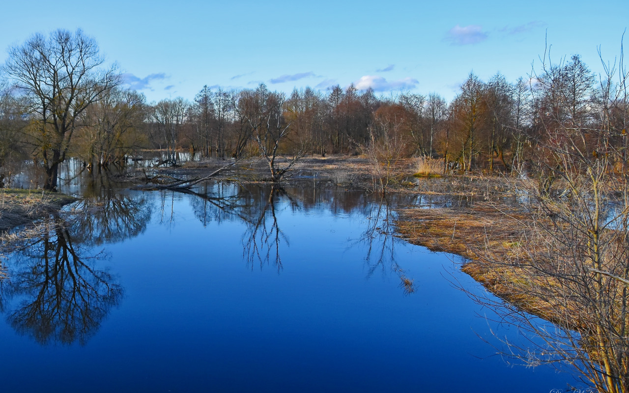 река в разливе