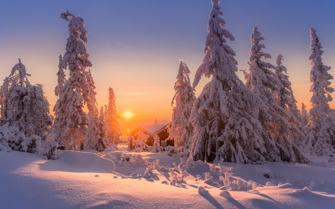 Засыпаны снегом ели. Зимний закат. Природа зима. Красота зимы. Красивые зимние пейзажи природы.