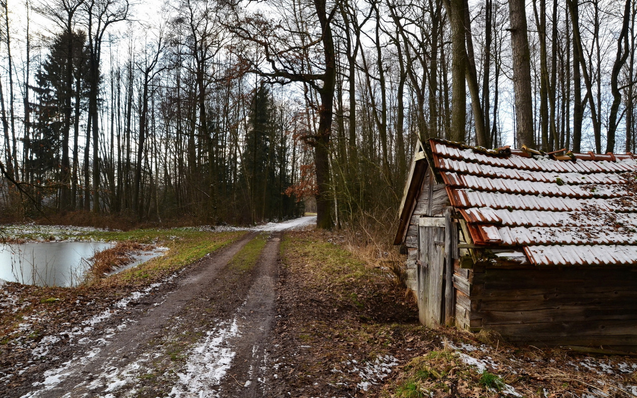 Фото Села Лесного