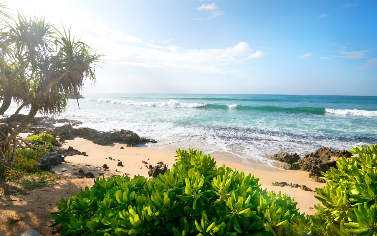 песок, море, пляж, пальмы, берег, summer, beach, sea