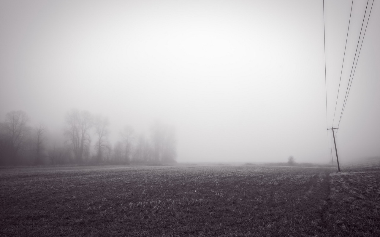Спят в тумане поля. Туманное поле. Туманное мрачное поле. Страшное поле. Серое поле.