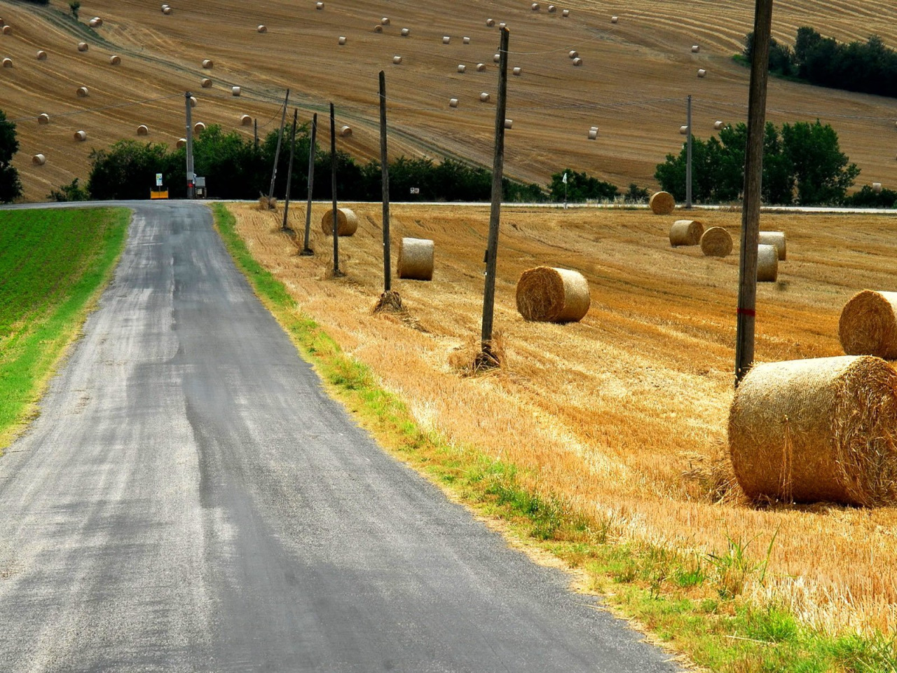 Field roads. Дорога в поле. Поле с дорогой. Поле сено. Поле на рабочий стол.