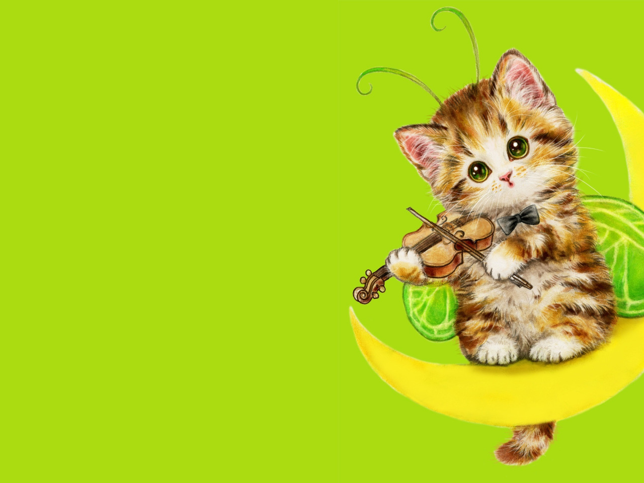 С котиками для детей