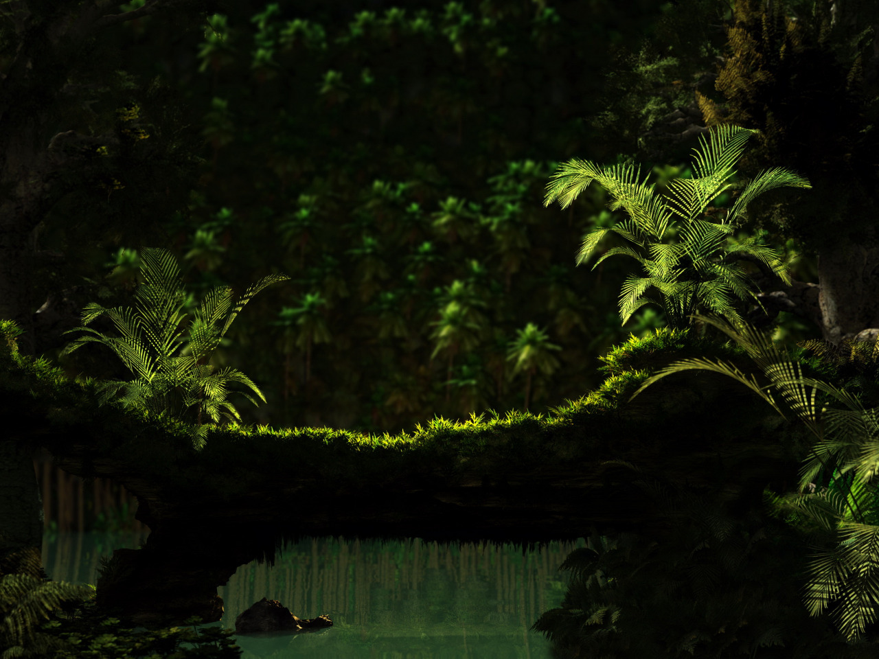 Тропический лес. Джунгли. Папоротниковый лес. Тропический фон. Jungle download