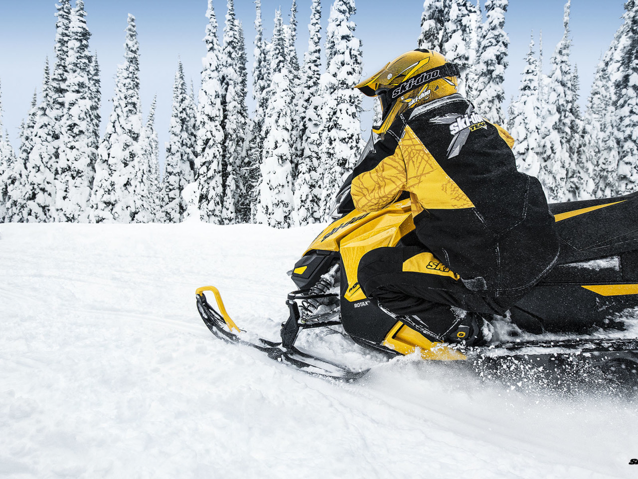 Снегоход Ski Doo