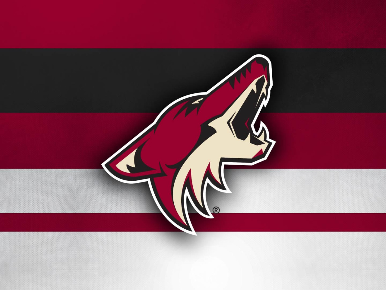 Аризона Койотис. Рабочий стол НХЛ Coyotes. Arizona Coyotes Fans. Аризона Койотс на аву.