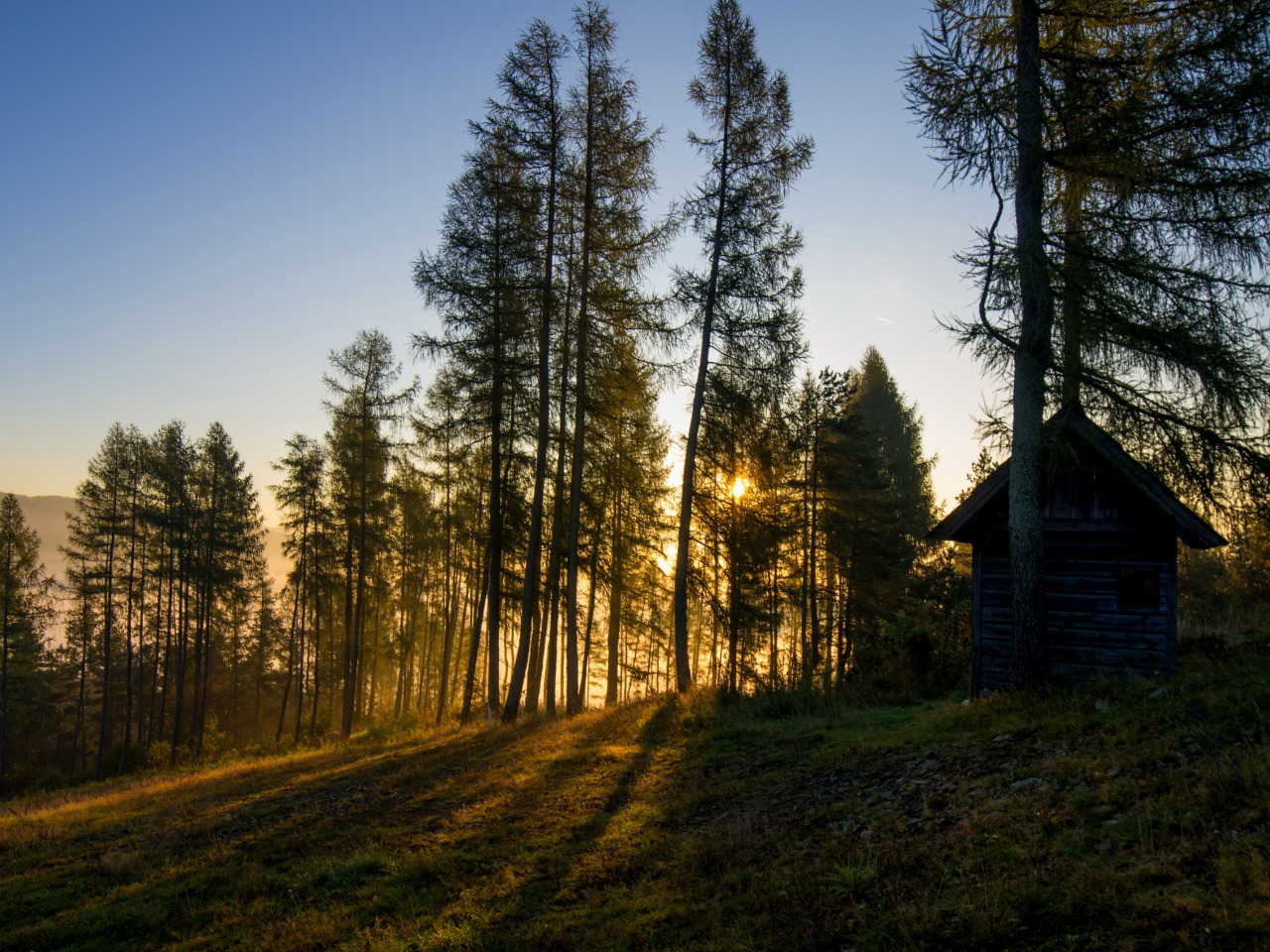 Morning house. Опушка леса. Дом в лесу. Утро в лесу. Избушка в лесу летом.