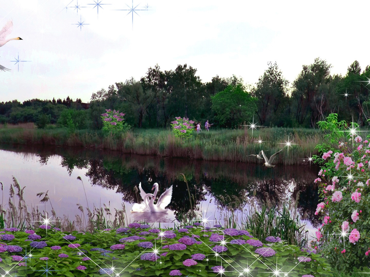 Цветочный пруд 22. Природа пруд цветы. Природа озеро лебеди. Сказочное озеро с лебедями. Цветущие сады и парки пруд лебеди.