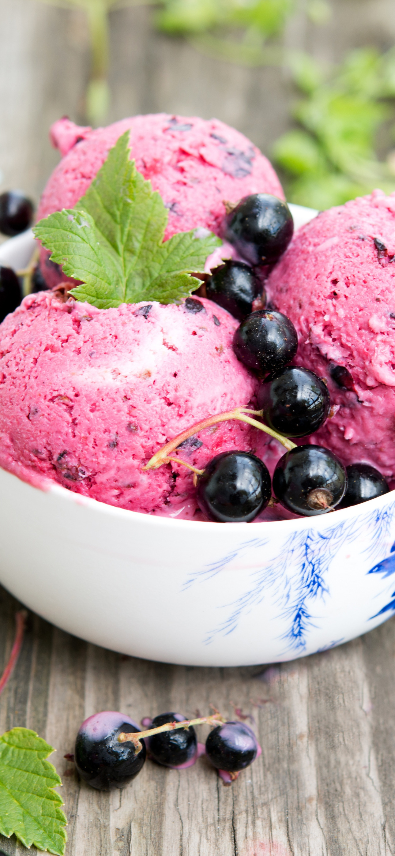 шарики, мороженое, десерт, смородина