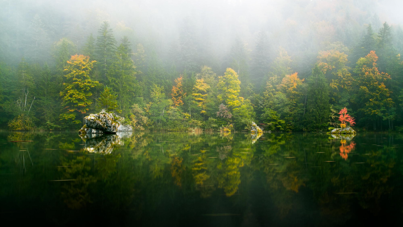 осень, лес, деревья, природа, озеро, отражение, дымка
