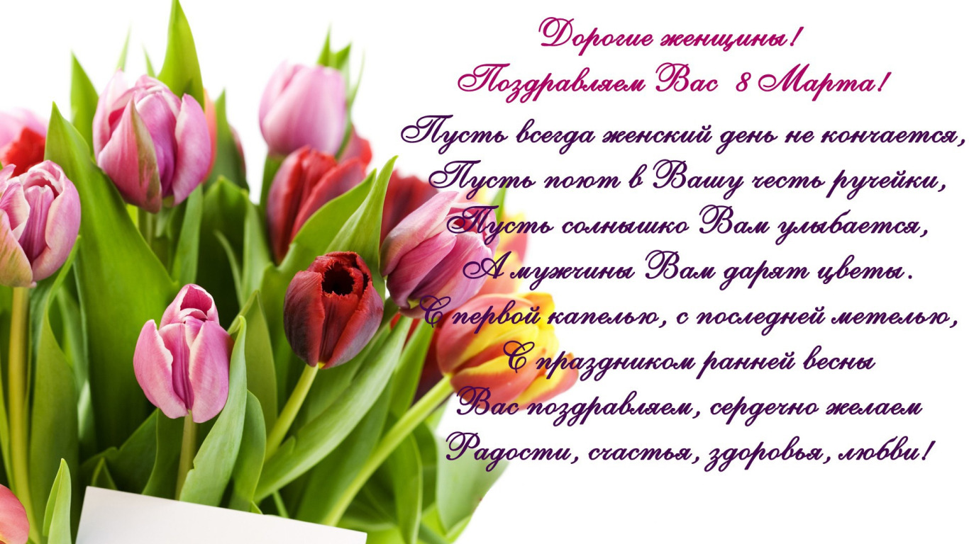 Скачать обои тюльпаны, 8 марта, tulips, поздравление, spring, женский день,  раздел праздники в разрешении 1366x768