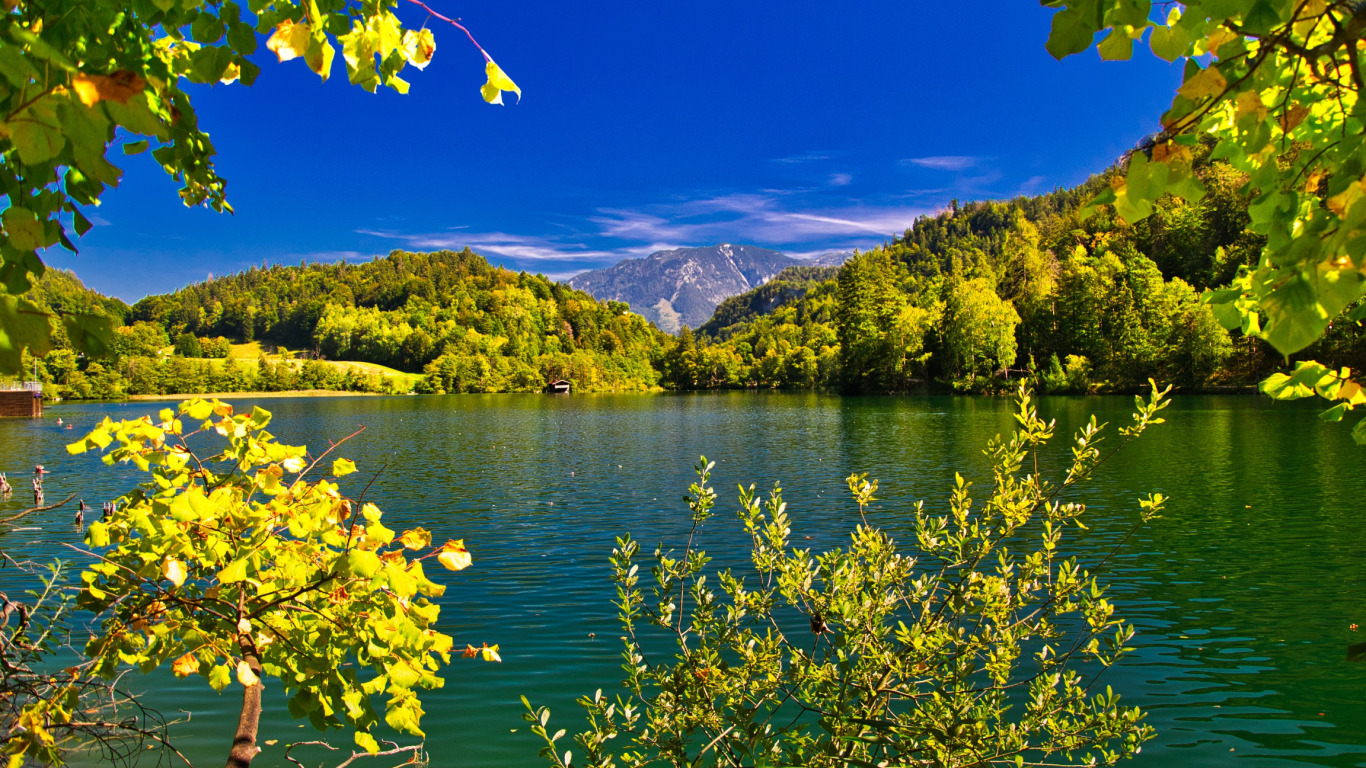 Озеро краса. Леса и озера Германии. Звуки природы Баварии. Осенний пейзаж разрешением 3000. Ветви и горы.