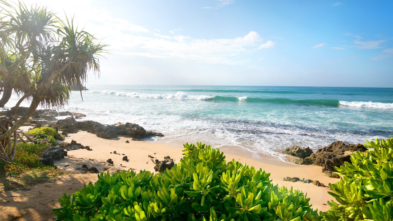 песок, море, пляж, пальмы, берег, summer, beach, sea