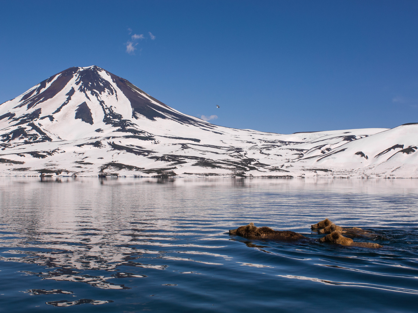 Nature kamchatka. Кроноцкий заповедник Камчатский край. Природа полуострова Петропавловск Камчатский. Медвежья гора Камчатка. Камчатский край горы.