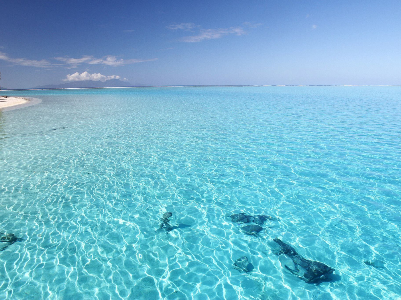 Самая чистая вода