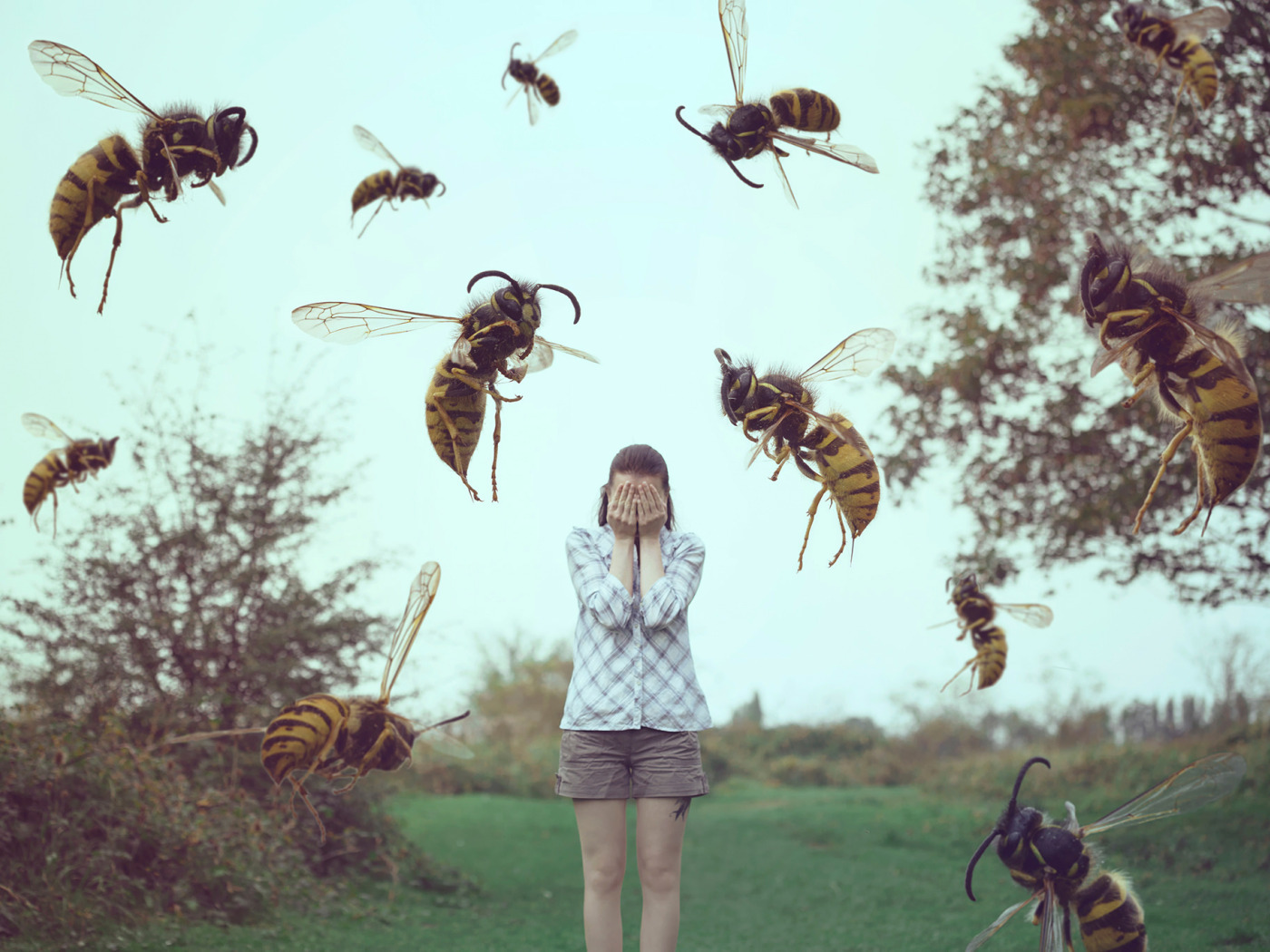 Нападение осы. Осы Рой. Пчелы атакуют. Нападение насекомых.