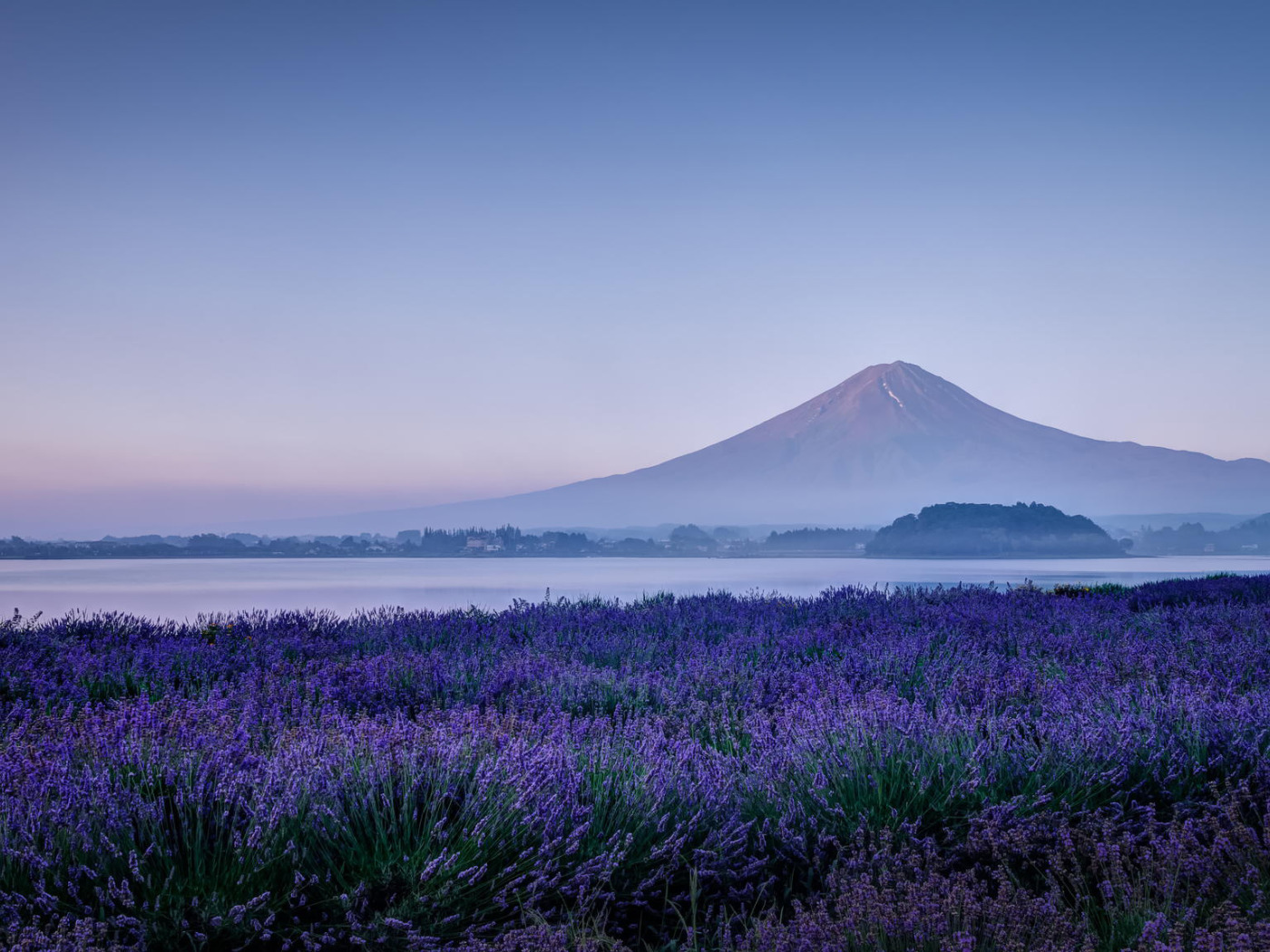 Mount fuji purple живые обои. Утро в горах Японии фото.