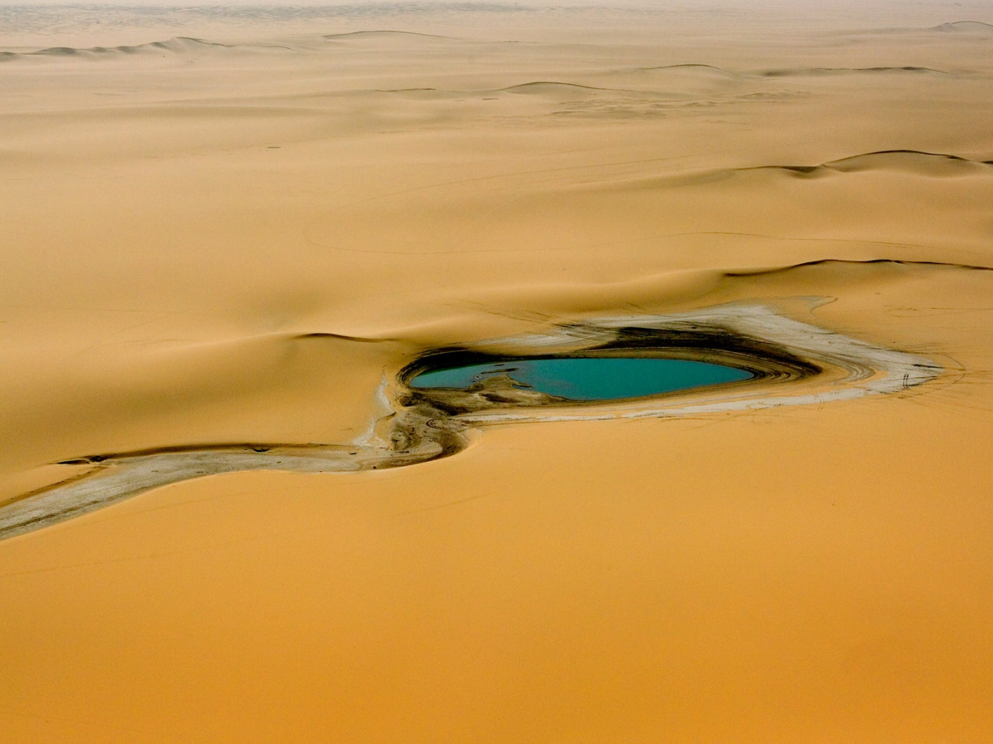 Пустыня сахара Оазис. Вади пересыхающие реки Африки. Оазис в пустыне Африки. Вода в пустыне. Река оазис