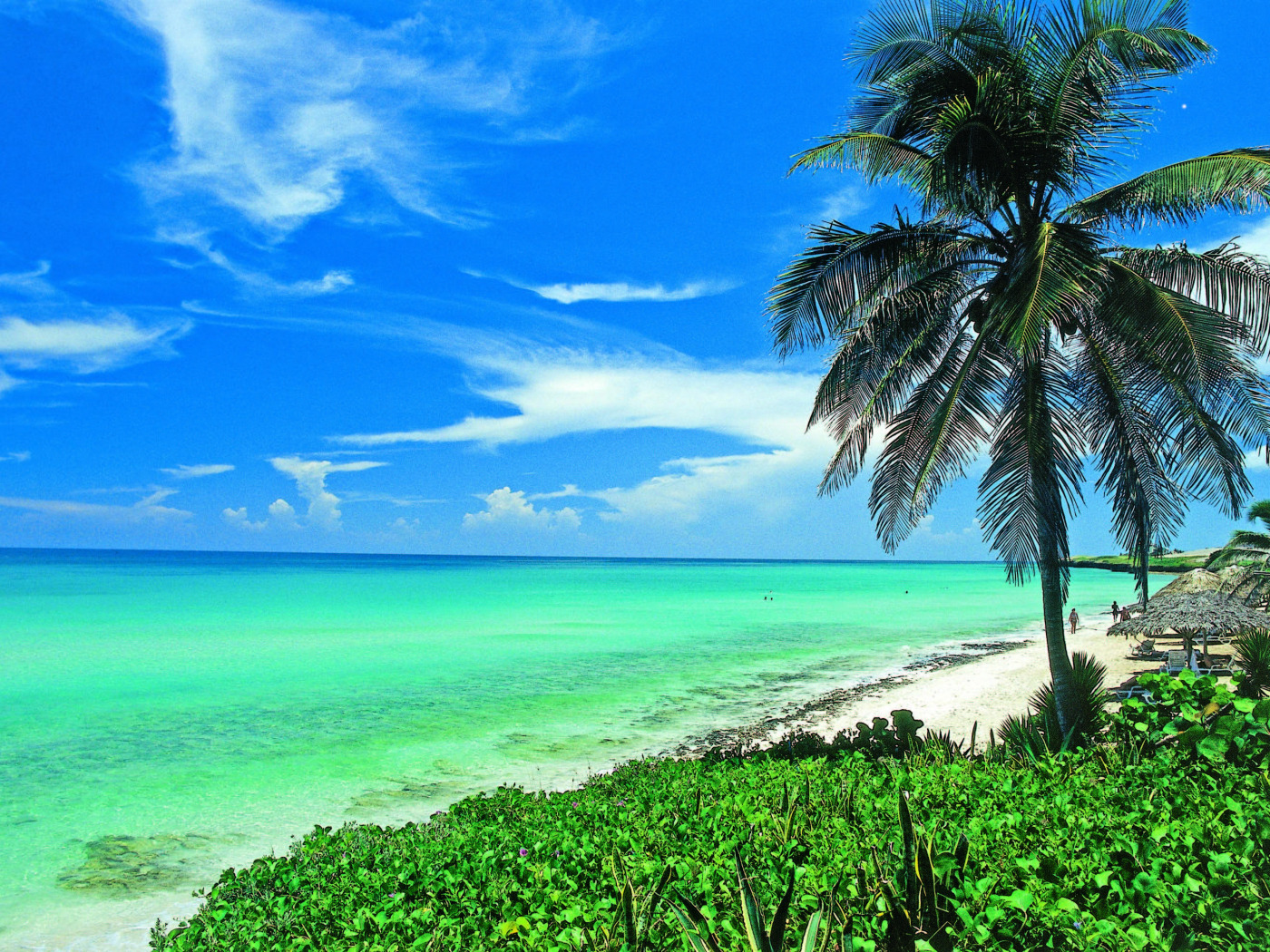 Куба пальмы. Карибское море Куба. Куба пляж. Куба океан. Куба омывается водами