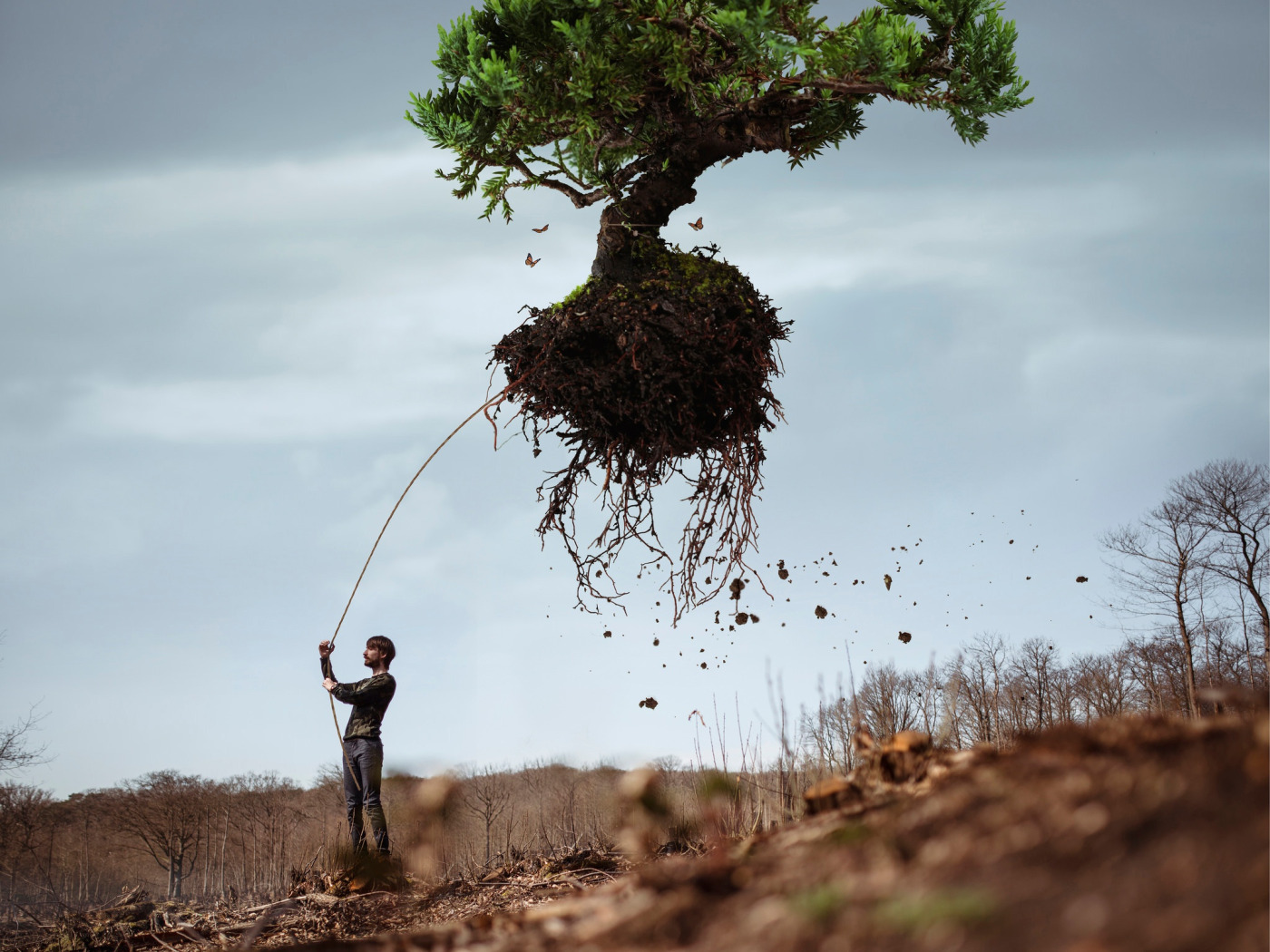Люди живущие на деревьях. Летающее дерево. Засохшее дерево с корнями. Сюрреалистическое дерево.