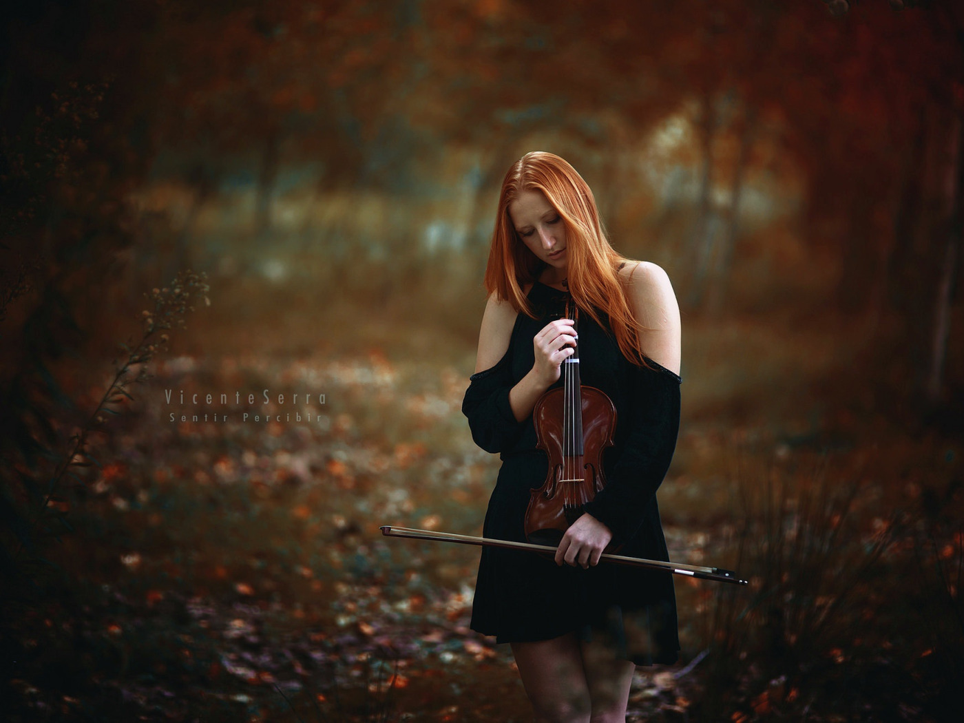 Скрипка боль. Девушки со скрипкой. Девочка со скрипкой. Фотосессия со скрипкой на природе. Девушка со скрипкой в лесу.