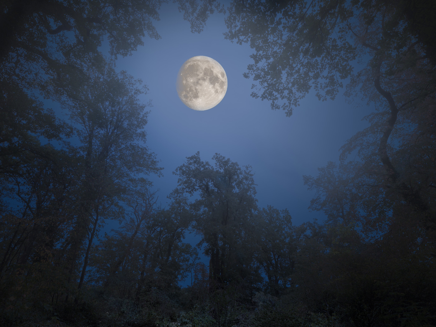 Озаренный светом луны. Страшная Луна. Ночная Луна текстура.