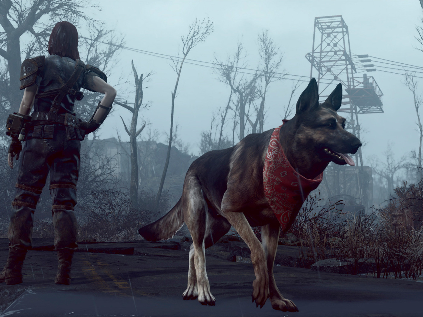 Fallout 4 волк компаньон фото 14