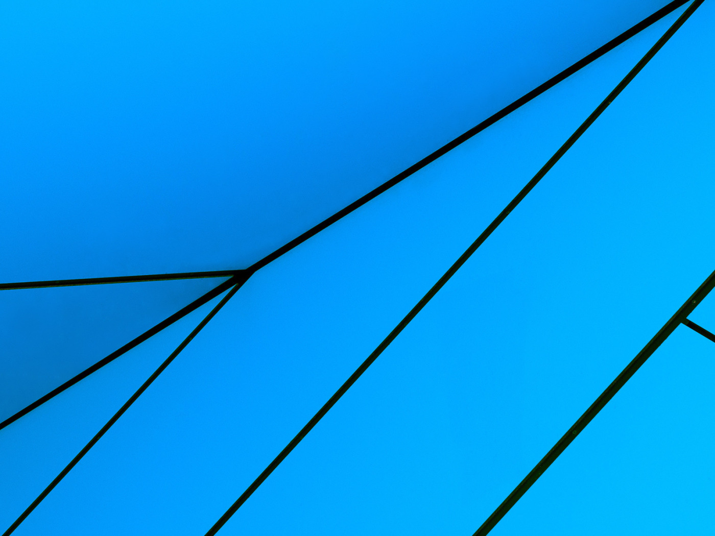 Синяя линия синих линий 5 0. Win 8.1 рабочий стол. Windows 10 Technical Preview. Голубые стрелки у файлов виндовс 10. Защитник виндовс логотип.