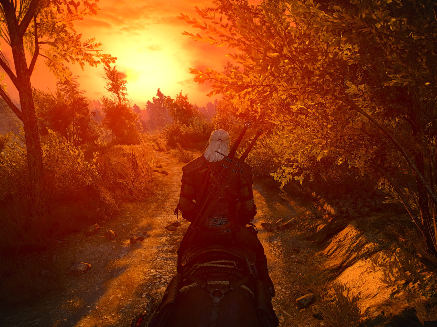 The witcher 3 nvidia amd фото 40